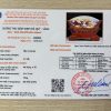 kiem dinh tranh ngoc ma dao1 1
