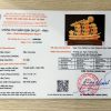 kiem dinh thuyen vang 30cm mau 21