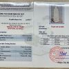 thap trang 1.061
