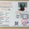 kiem dinh cau fluorit 61kg