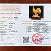 kiem dinh ga trong1