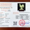 kiem dinh ga xanh1