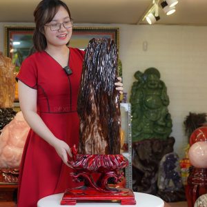 Gỗ hóa thạch - Gỗ hóa ngọc 17,78kg