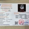 kiem dinh tuong quan am thach anh trang 477