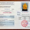 tuong di lac vang dung sjbc 7q