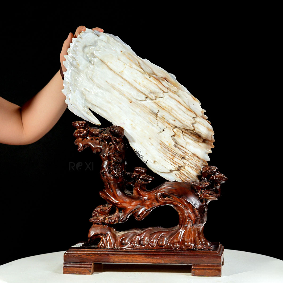 Gỗ hóa thạch - Gỗ hóa ngọc tự nhiên 4,87kg - cao 48cm